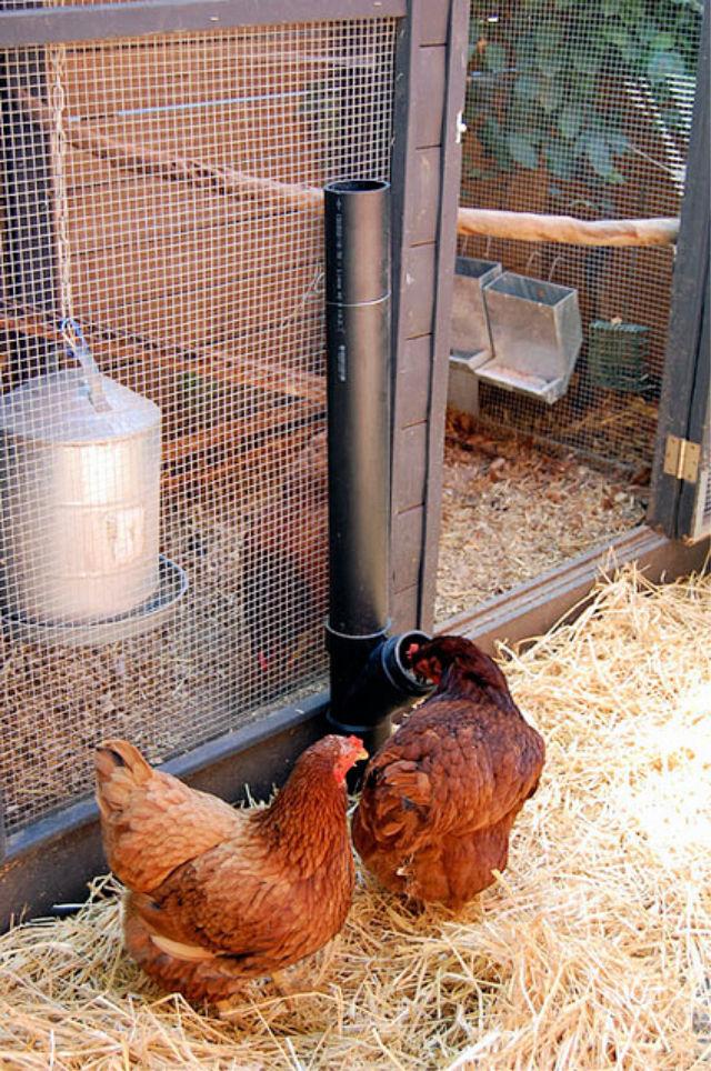 Handmade No-Spill Chicken Feeder