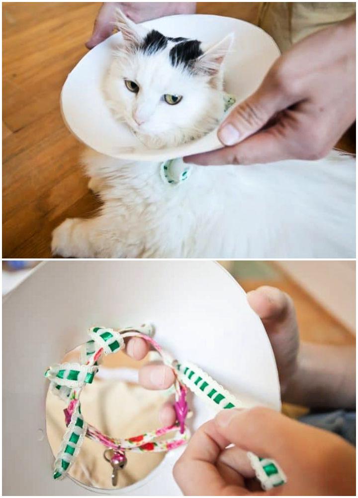 DIY Pet Cone