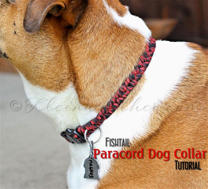 How to Make a Fishtail Paracord Dog Collar