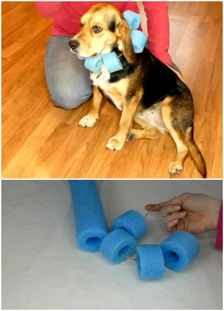 Diy dog hotsell cone pool noodle