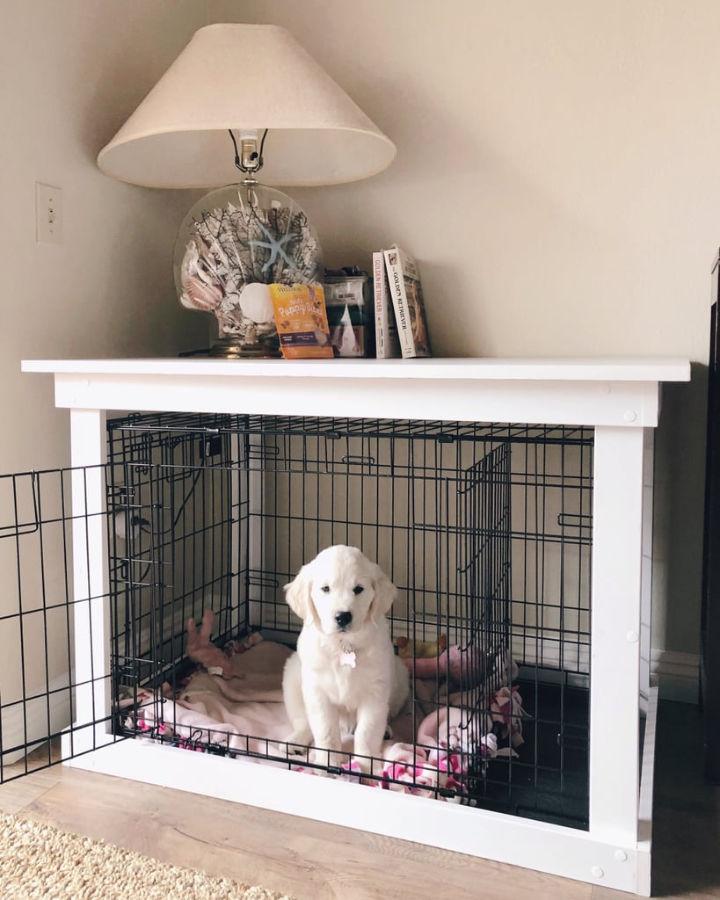 How to Build a Dog Crate at Home