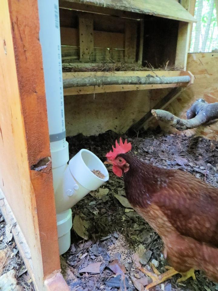 Make Your Own PVC Chicken Feeder