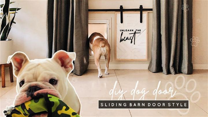 Mini Sliding Barn Style DIY Dog Door