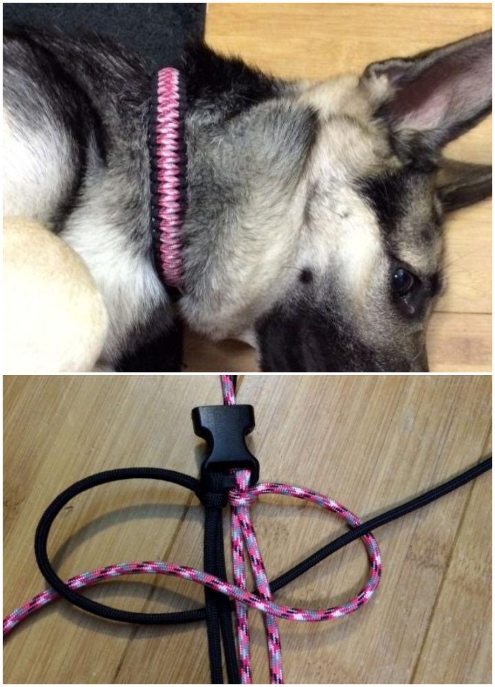 Make Your Own Paracord Dog Collar