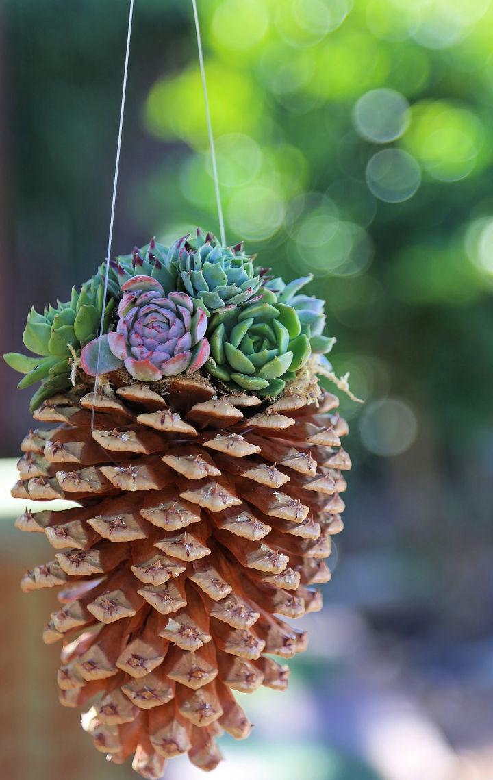 Pine Cone Succulent Planter