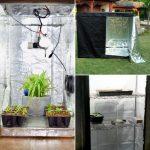 DIY Grow Tent (10 Easy Grow Tent Setup Ideas)