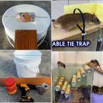 Homemade Mouse Trap (15 DIY Rat Traps that Really Work)