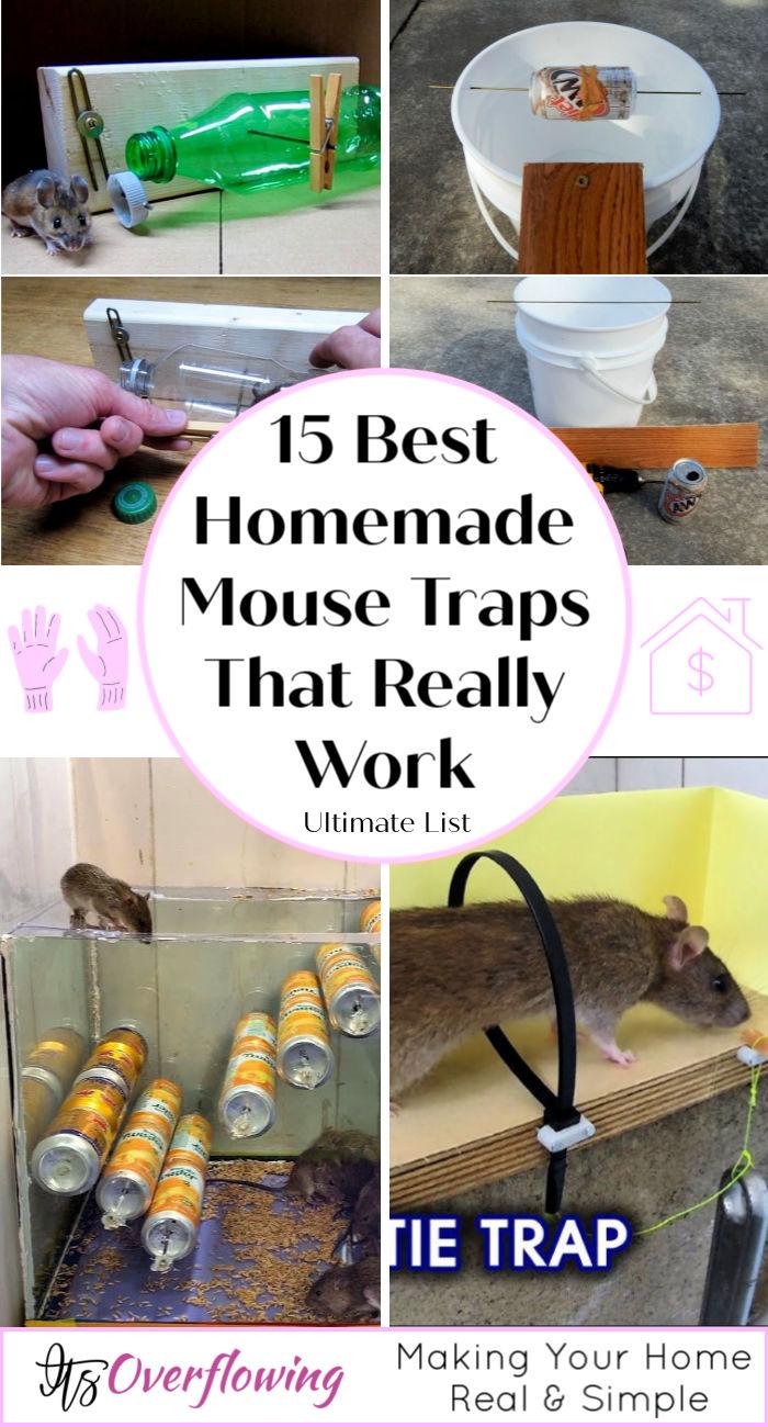 15 Best Homemade Mouse Trap Ideas That Really Work - how to make a homemade mouse trap