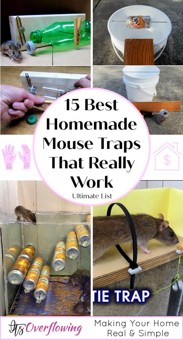 https://cdn.itsoverflowing.com/wp-content/uploads/2020/06/15-Best-Homemade-Mouse-Trap-Ideas-That-Really-Work-how-to-make-a-homemade-mouse-trap.jpg