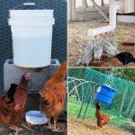 15 DIY Chicken Waterer Ideas Out Of Recycled Materials