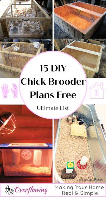 15 Easy DIY Chicken Brooder Ideas and Plans to Make