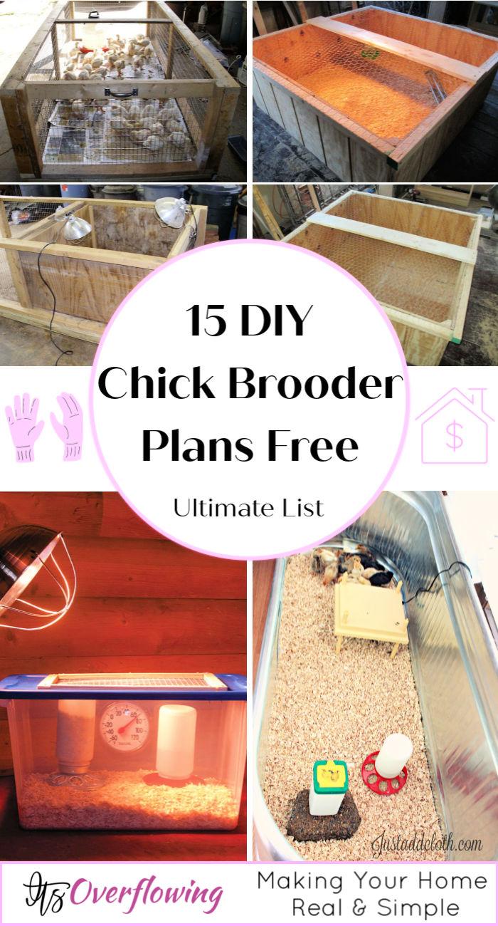 15 Easy DIY Chicken Brooder Plans You Can Make - DIY chick broder