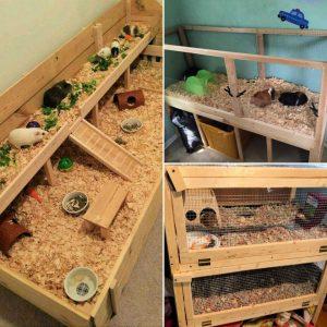 20 Homemade DIY Guinea Pig Cage Ideas To Build Your Own - how to make a guinea pig cage