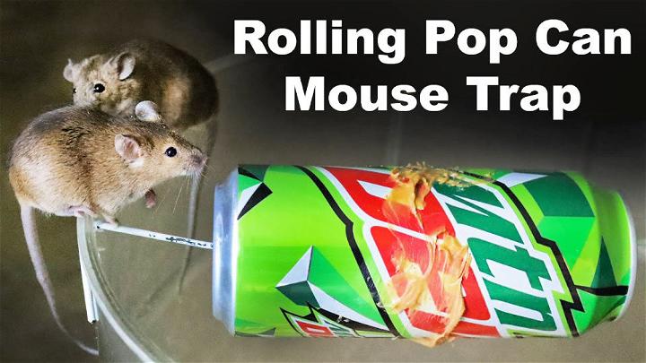 Catch Mice with A Pop Can and A Coat Hanger