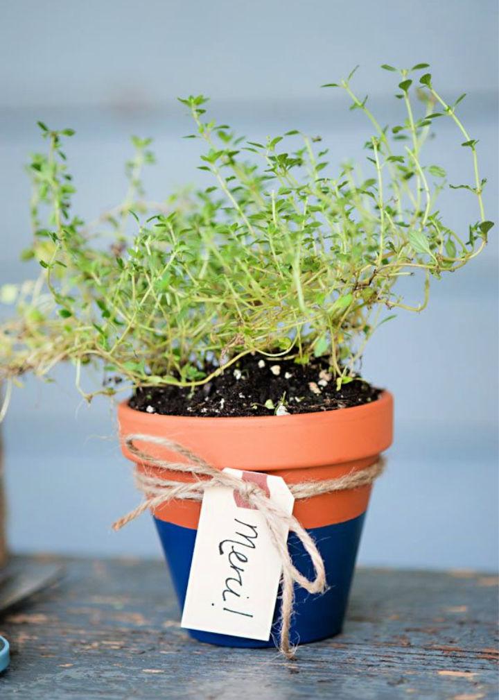 DIY Potted Herb Favors for Wedding