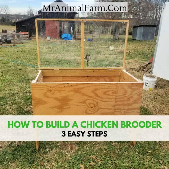 How to Build a Brooder in 3 Steps