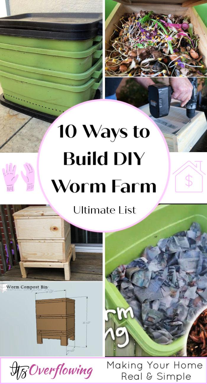 DIY Worm Farm: How To Make a Worm Compost Bin