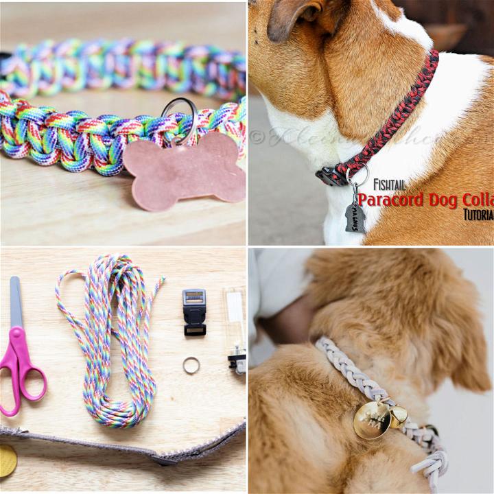 15 Easy DIY Dog Collar Ideas To Make Your Own Dog Collar