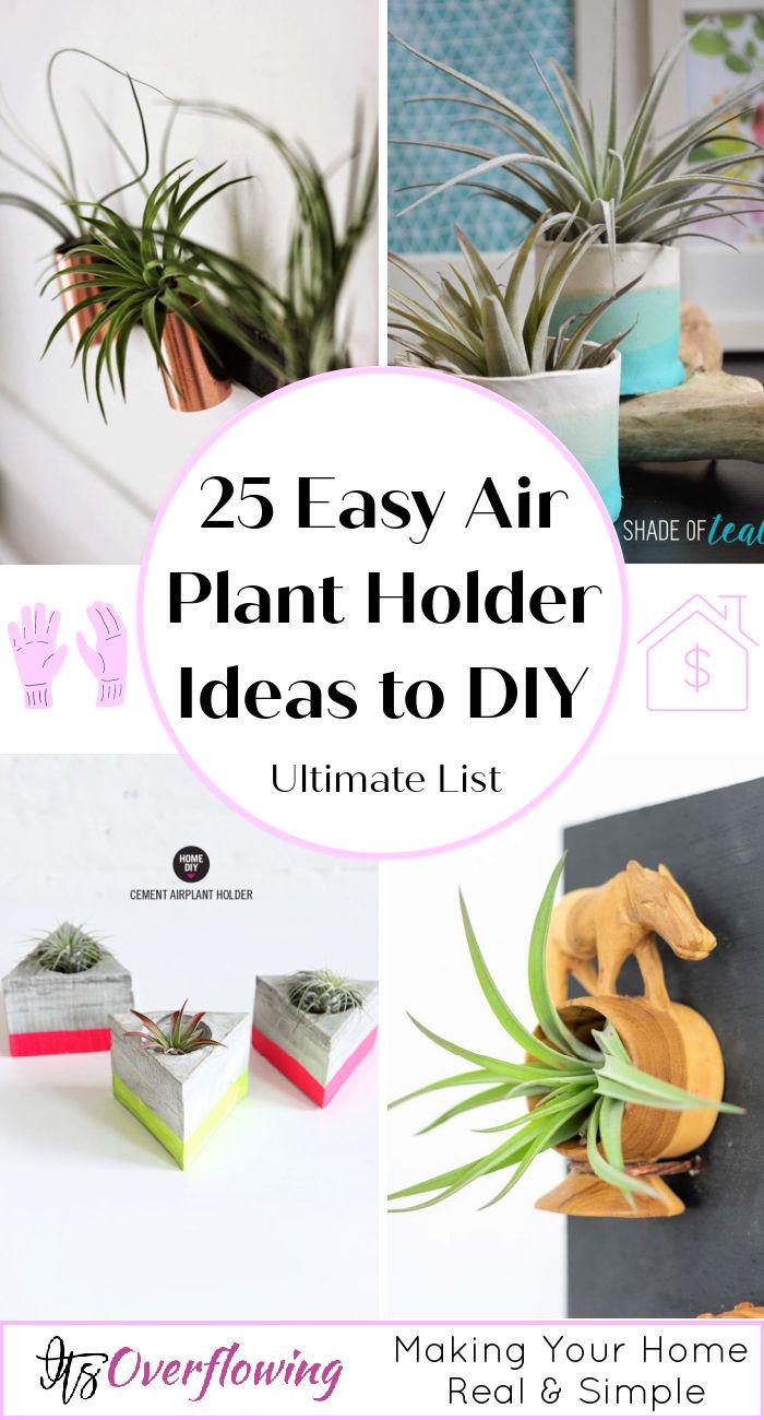 Air Plant Holder with Rock and Wire {DIY Air Plant Display