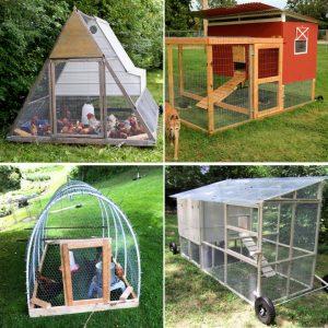 30 Free DIY Chicken Tractor Plans For Homesteaders - mobile chicken coop plans