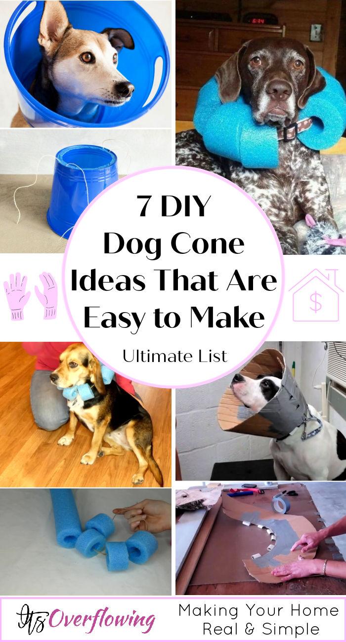 is there an alternative to the cone for dogs