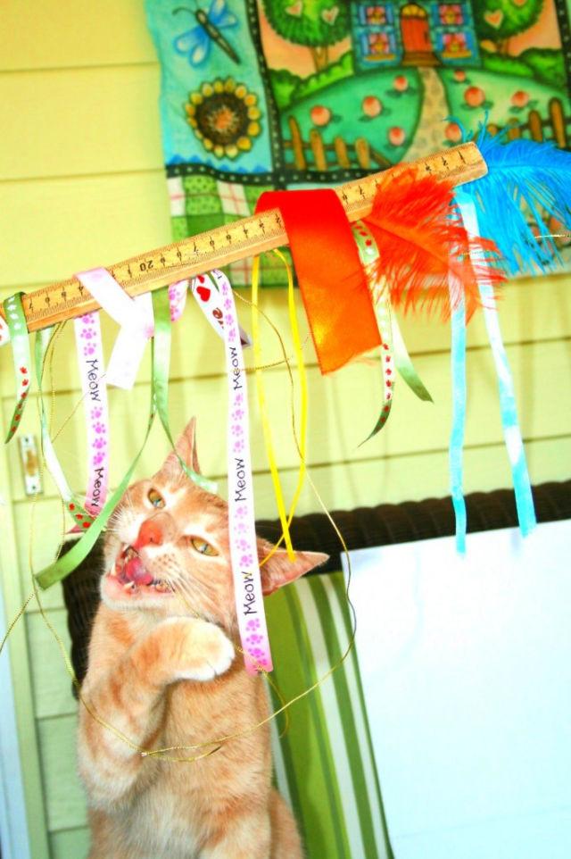 Adorable DIY Ribbon Cat Toy