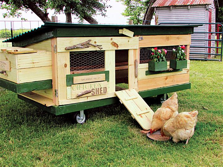 How to Make a Chicken Tractor