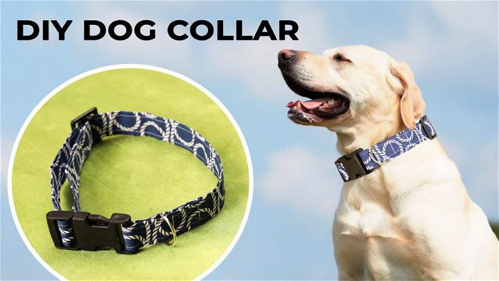 How to Sew a Dog Collar in Just 10 Minutes