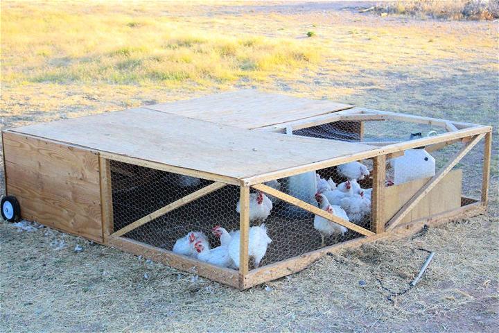 Inexpensive DIY Mobile Chicken Tractor
