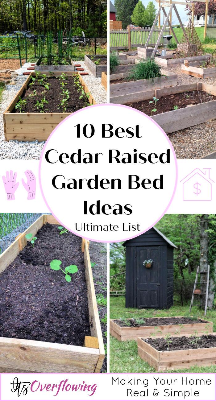 10 Best Cedar Raised Garden Bed Ideas You Can DIY