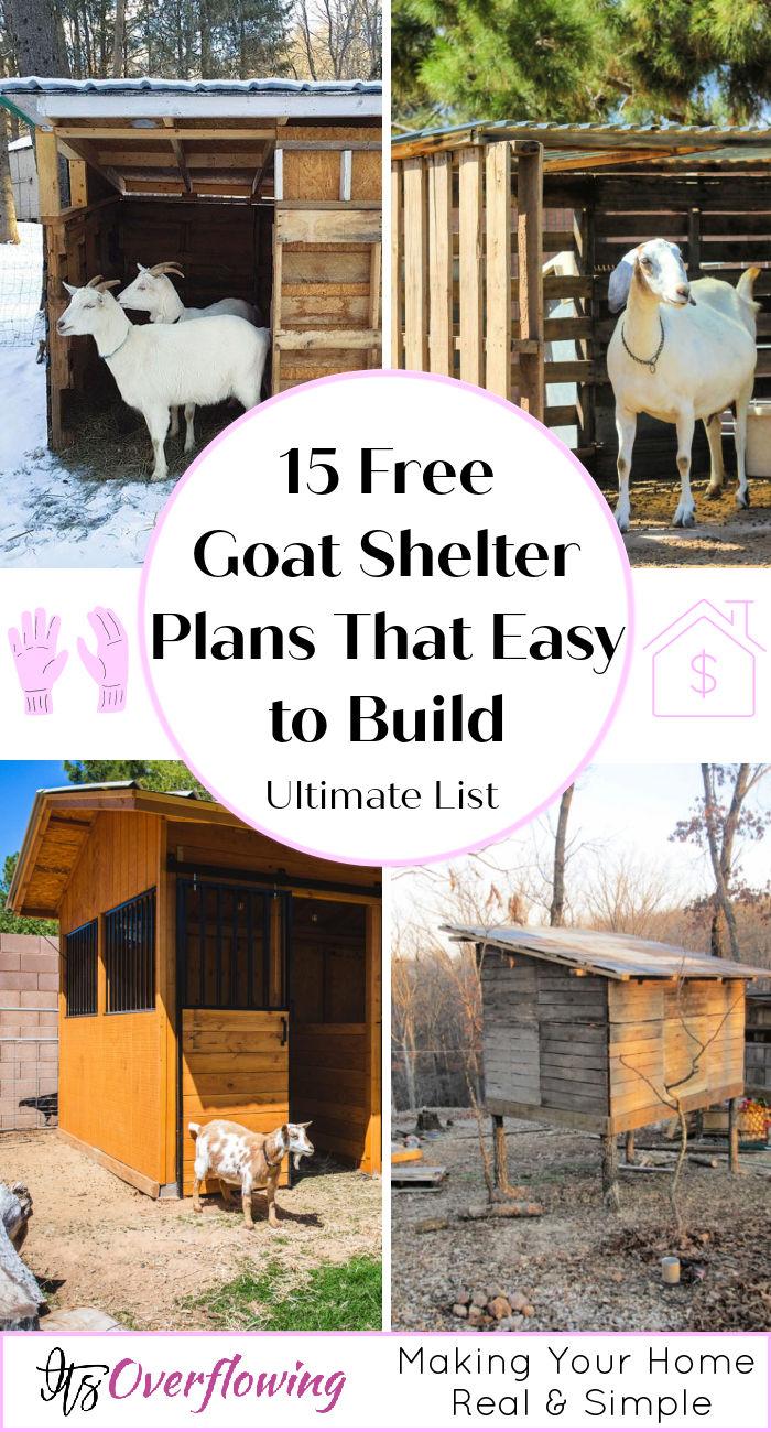 15 Free DIY Goat Shelter Plans
