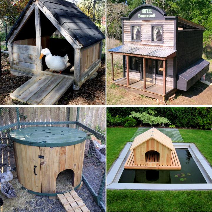 Diy Duck House Ideas