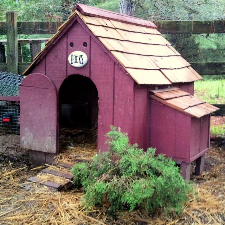 Converting a Dog House for Ducks