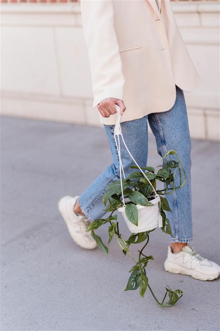 Hanging Planters