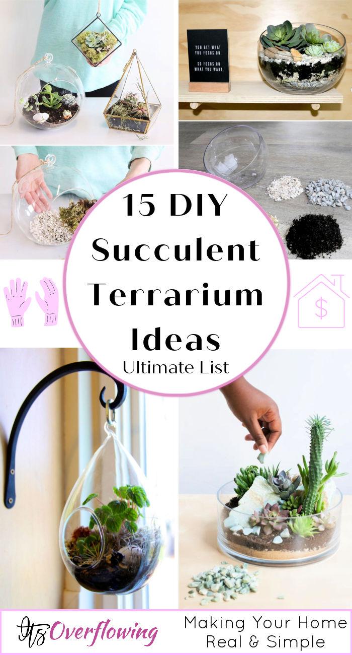 15 DIY Succulent Terrarium Ideas