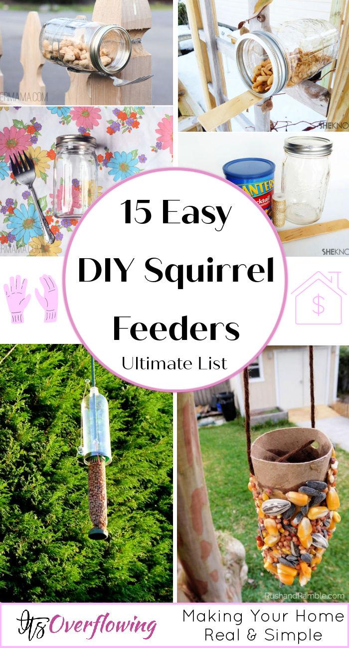 15 Easy DIY Squirrel Feeders