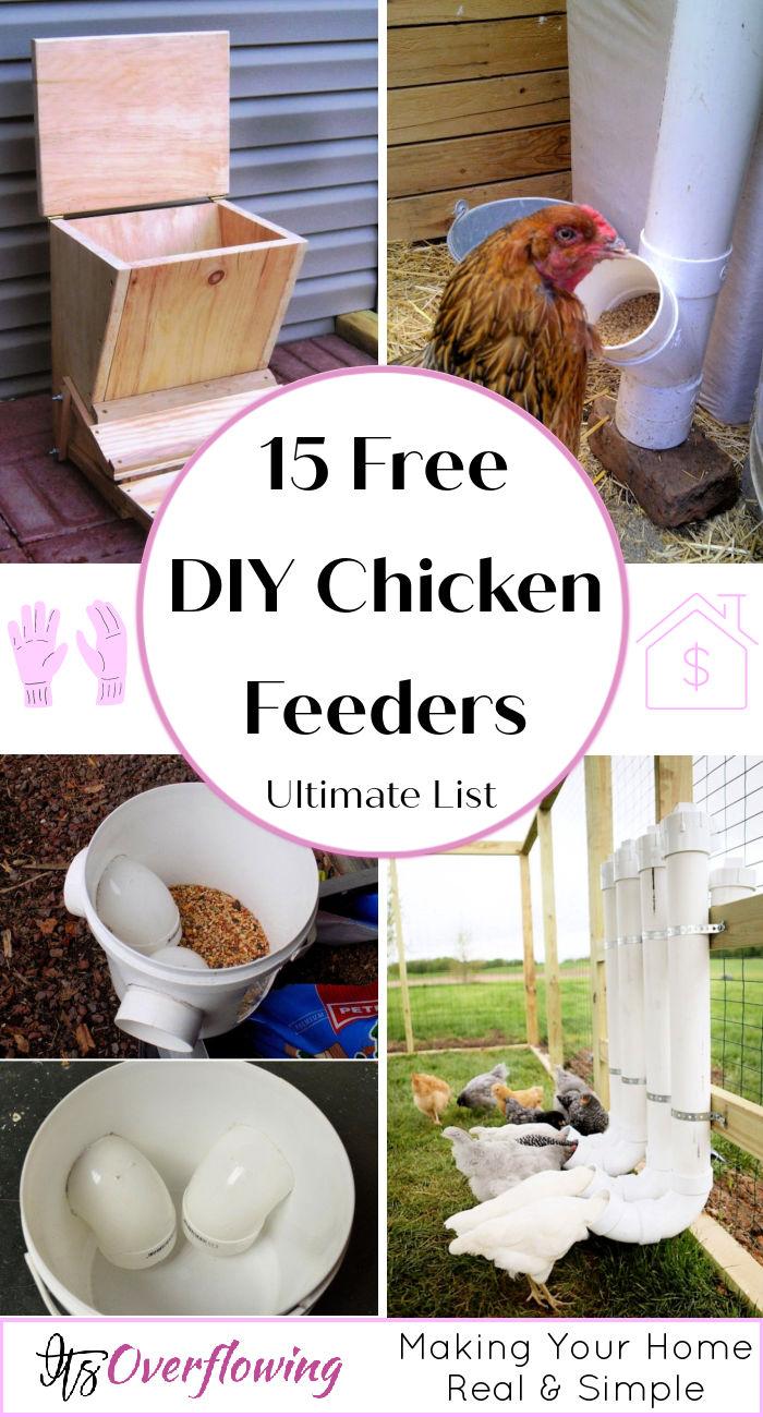 15 Homemade DIY Chicken Feeder Ideas