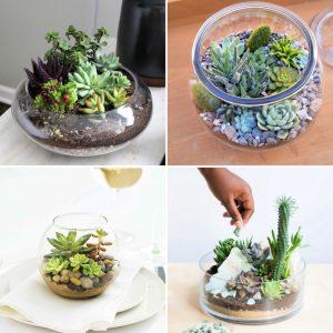 DIY Succulent Terrarium Ideas