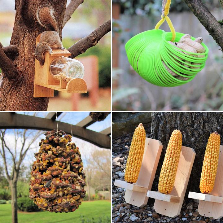 15 Easy Diy Squirrel Feeder Ideas Make A Squirrel Feeder