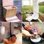 15 Homemade DIY Chicken Feeder Ideas