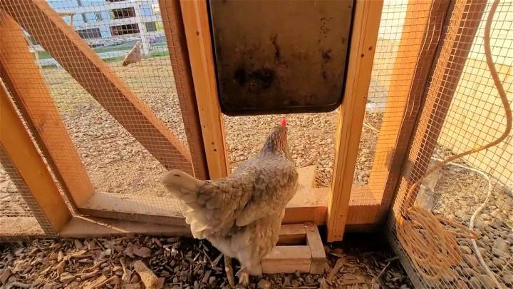 DIY Smart Automatic Chicken Door Opener Under $25