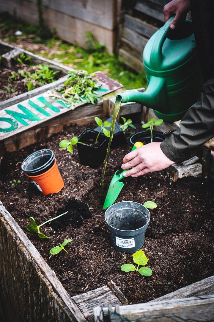 Benefits of Soft Water for Plants