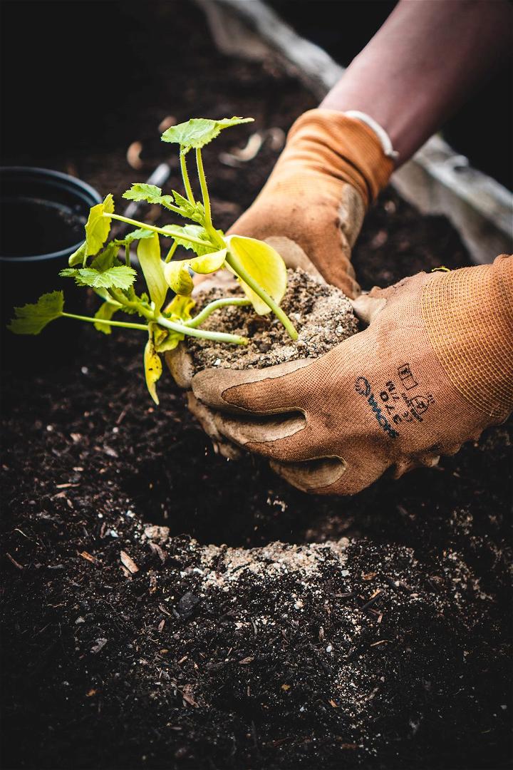 Raise Your Soil Ph by Adding Lime Wood Ash Or Compost to Soften Water for Growing Plants