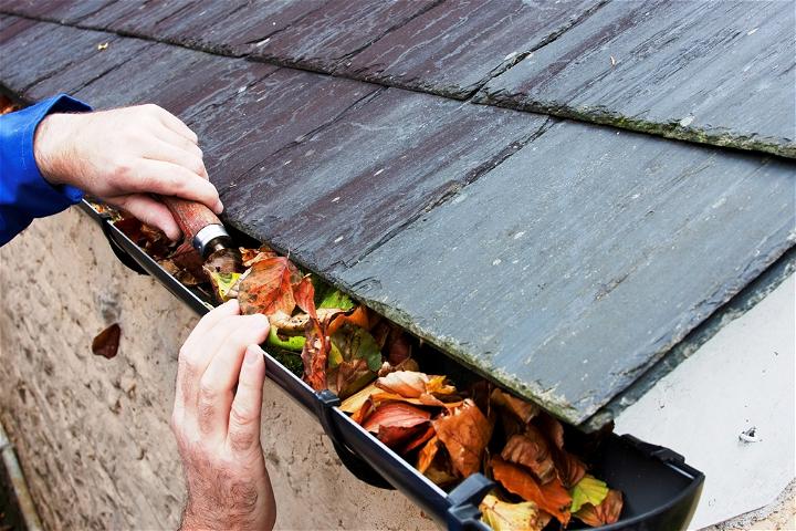 Signs Your Gutter Needs Cleaning