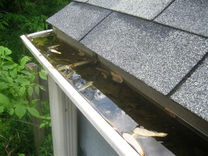 clogged gutters