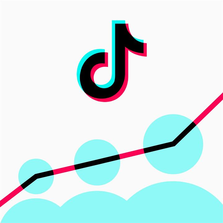 Quick Ideas to Boost Your TikTok Follower Count