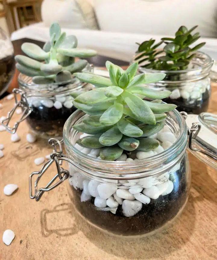 Cute DIY Succulent Terrarium Ideas