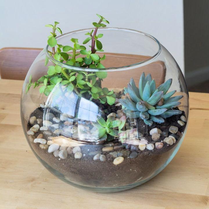 Homemade Little Succulent Terrarium
