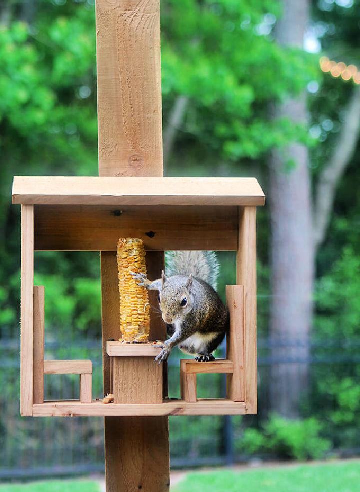 DIY Corn Cob Squirrel Feeder