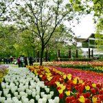 Enchanting Flower Gardens for Ecotourists